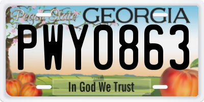 GA license plate PWY0863