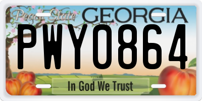 GA license plate PWY0864