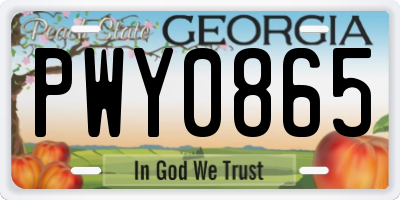 GA license plate PWY0865