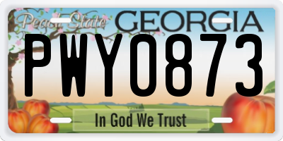 GA license plate PWY0873