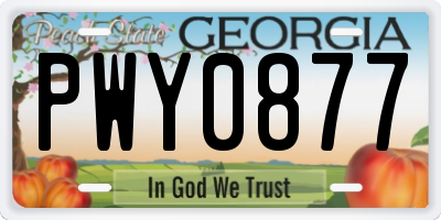 GA license plate PWY0877