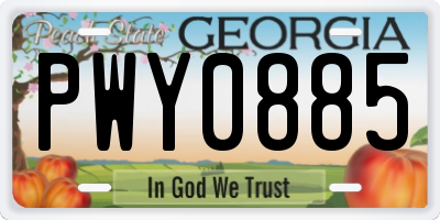 GA license plate PWY0885