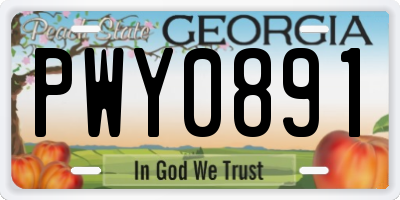 GA license plate PWY0891
