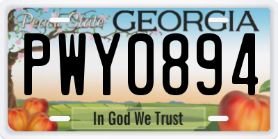 GA license plate PWY0894