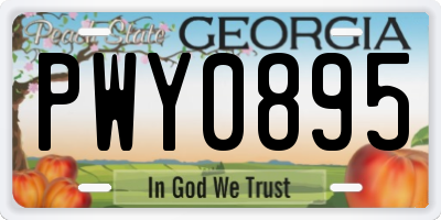 GA license plate PWY0895