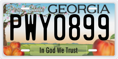GA license plate PWY0899