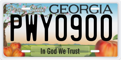 GA license plate PWY0900
