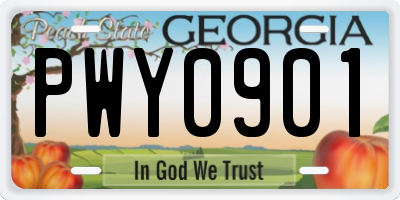 GA license plate PWY0901