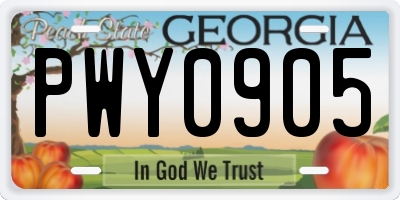 GA license plate PWY0905