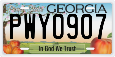 GA license plate PWY0907