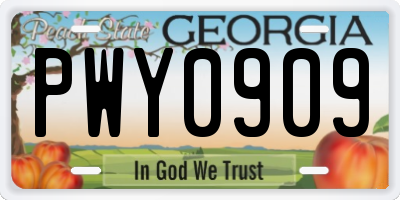 GA license plate PWY0909