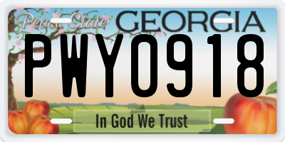 GA license plate PWY0918