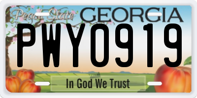 GA license plate PWY0919
