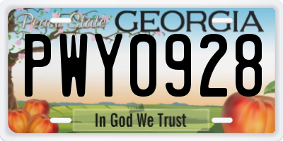 GA license plate PWY0928