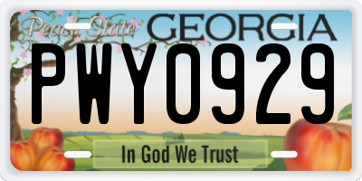 GA license plate PWY0929