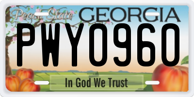 GA license plate PWY0960