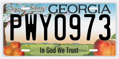 GA license plate PWY0973
