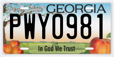 GA license plate PWY0981