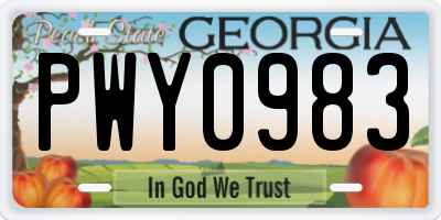GA license plate PWY0983
