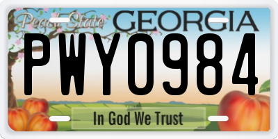 GA license plate PWY0984