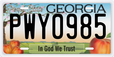 GA license plate PWY0985