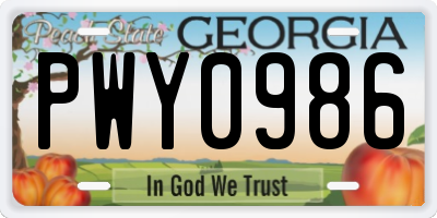GA license plate PWY0986