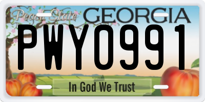 GA license plate PWY0991