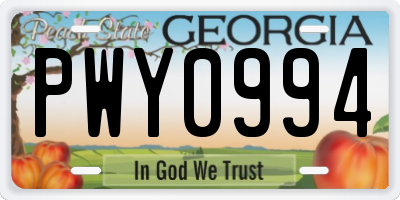 GA license plate PWY0994