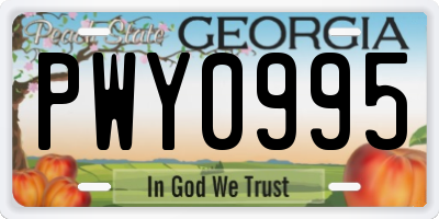GA license plate PWY0995