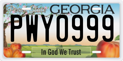 GA license plate PWY0999