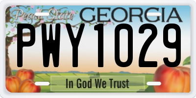 GA license plate PWY1029