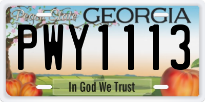 GA license plate PWY1113