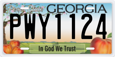 GA license plate PWY1124