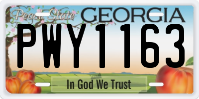 GA license plate PWY1163