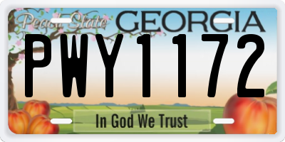 GA license plate PWY1172