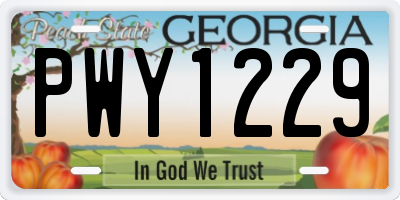 GA license plate PWY1229