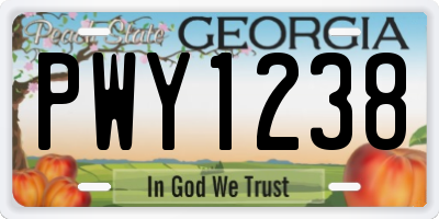 GA license plate PWY1238