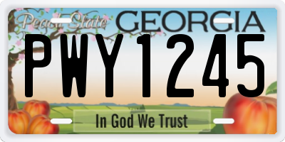 GA license plate PWY1245