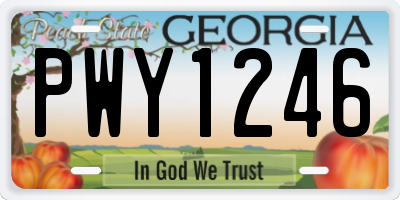 GA license plate PWY1246