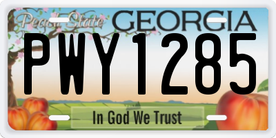 GA license plate PWY1285