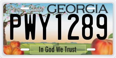 GA license plate PWY1289