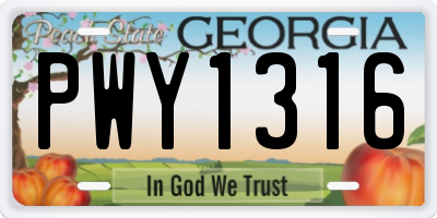 GA license plate PWY1316