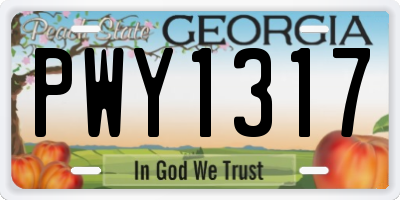 GA license plate PWY1317