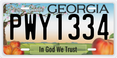 GA license plate PWY1334