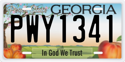 GA license plate PWY1341