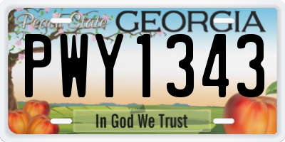 GA license plate PWY1343