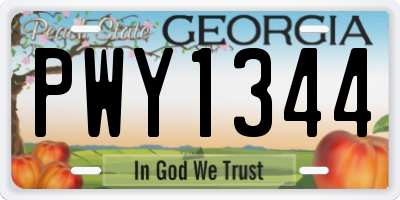GA license plate PWY1344