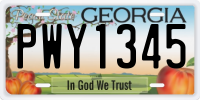 GA license plate PWY1345