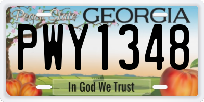 GA license plate PWY1348