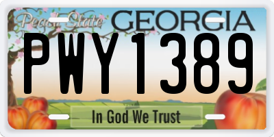 GA license plate PWY1389